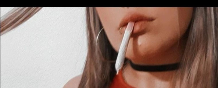 Lisa banner image