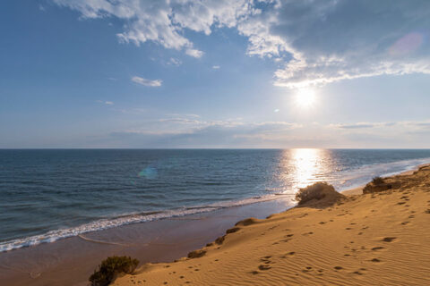 LISBETH cover image