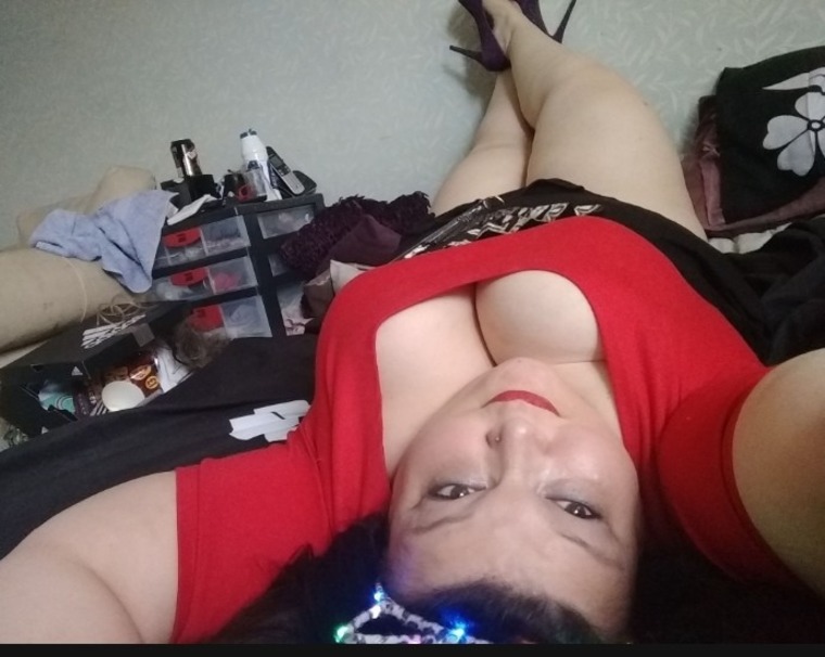 LisbetKitten cover image