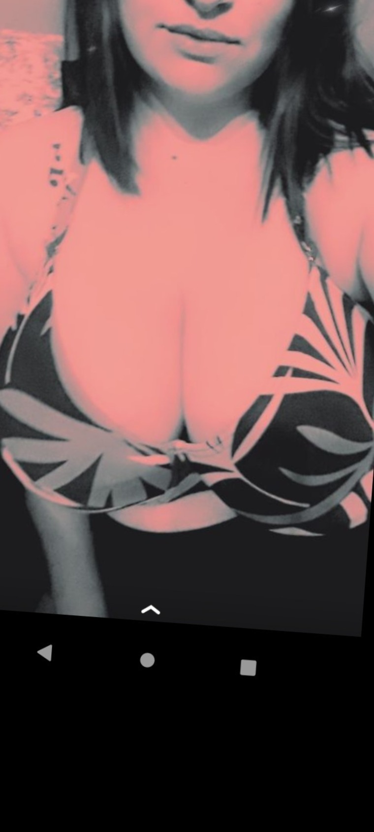 Liss banner image