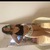 Lisz Biebs avatar