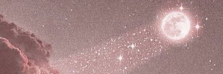 your littl princess banner image