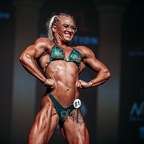 little.shehulk avatar