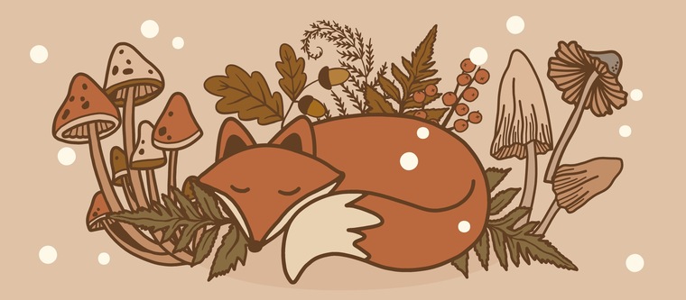 Sarah banner image