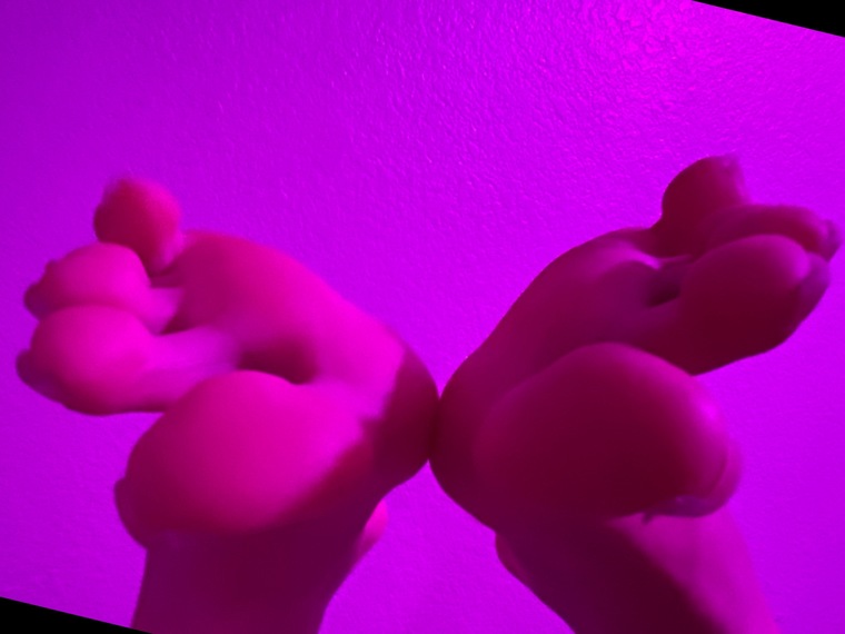 Angelic Soles😘 banner image
