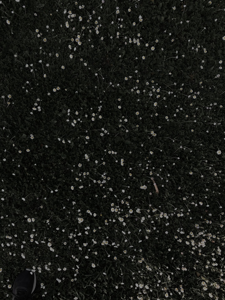 Devonne Keskin banner image