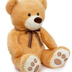 Little Bear avatar