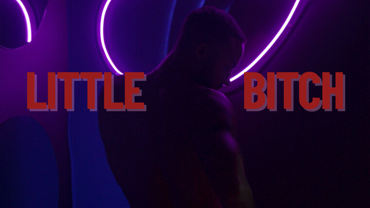 Little cover image
