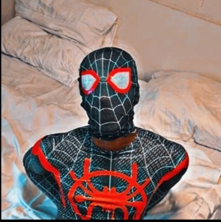 The_spyderboy cover image