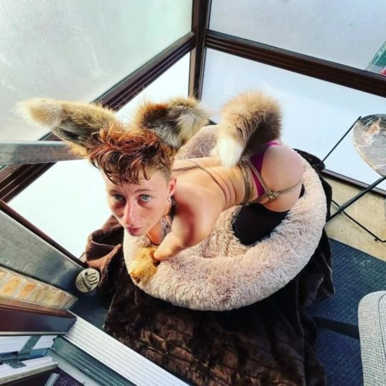 Foxy banner image