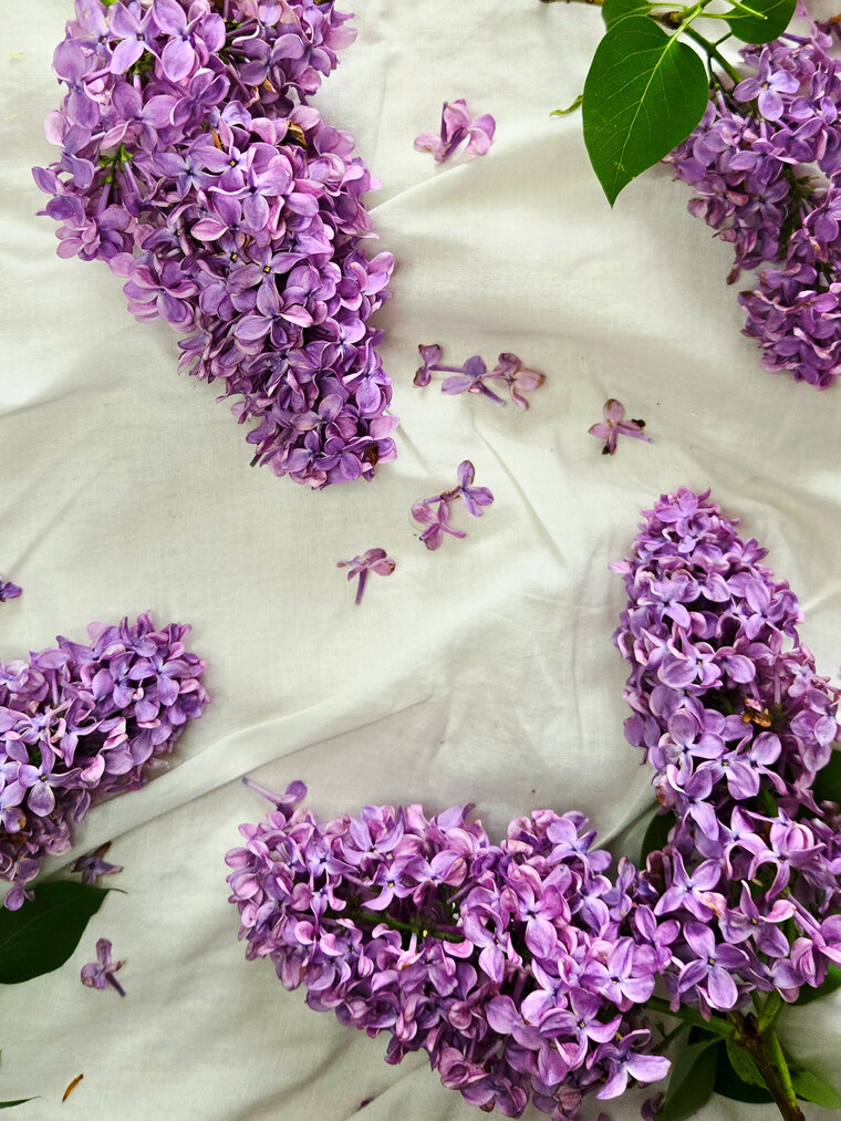 Little Flowery Feet cover image