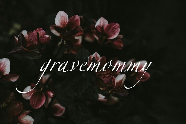 littlegravesgirl cover image