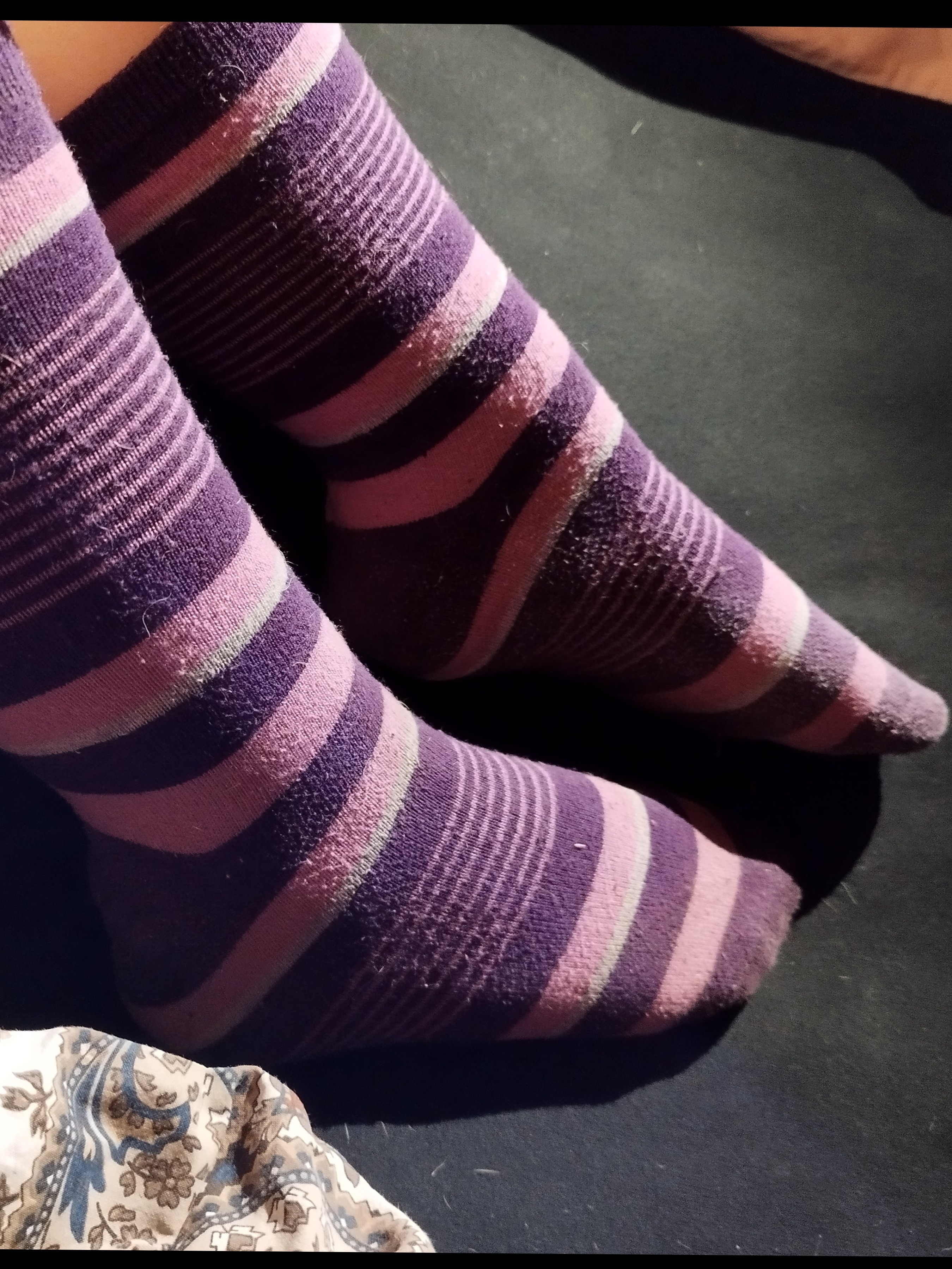 LittleItalianFeet00 banner image