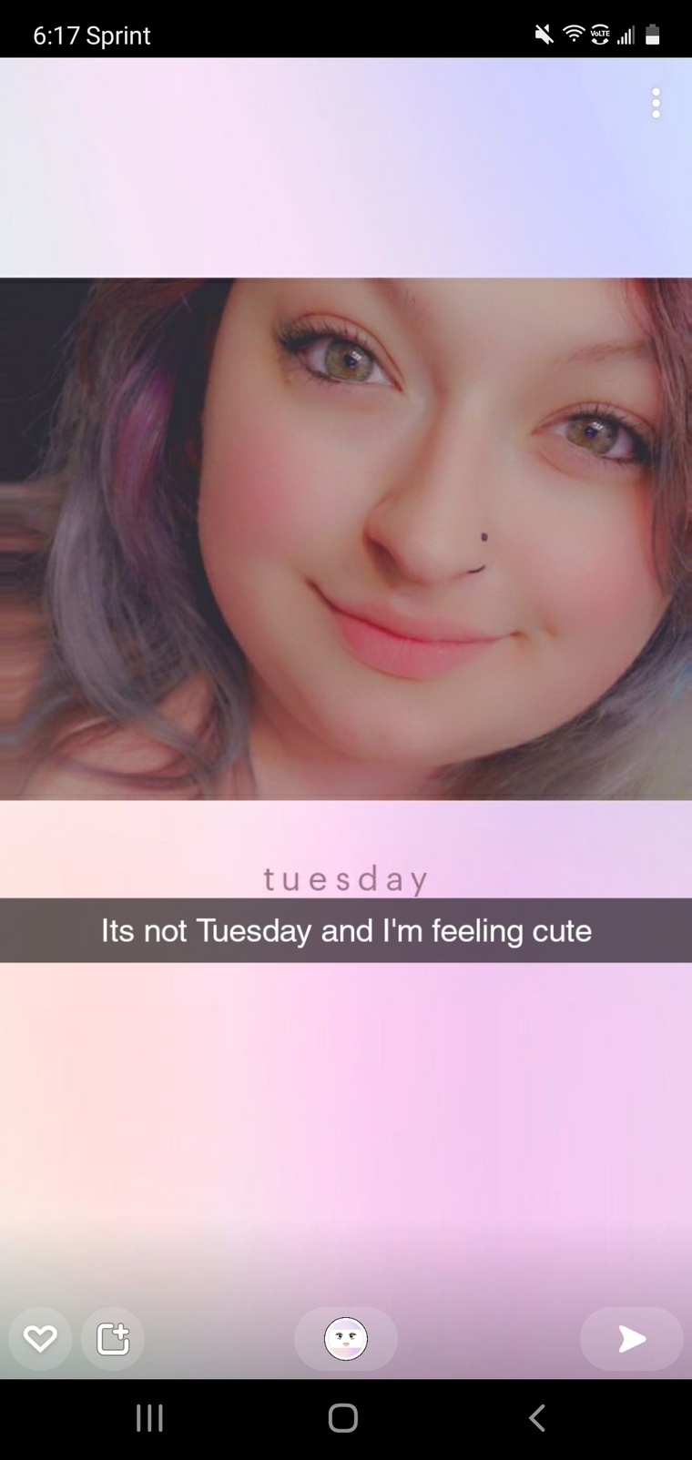 Kitten cover image