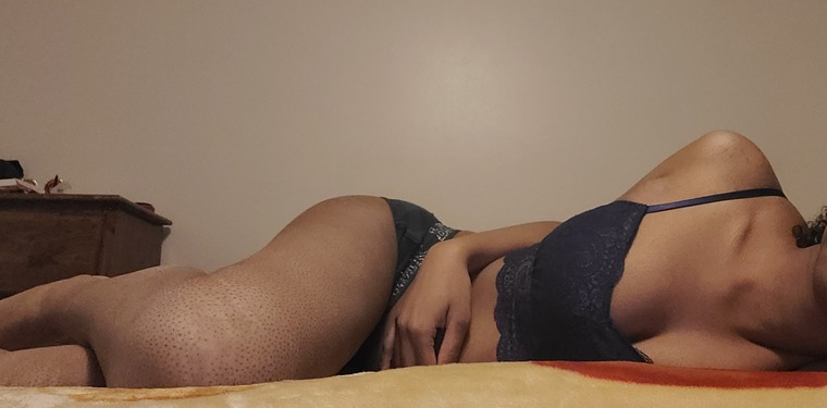 Little Kitty banner image