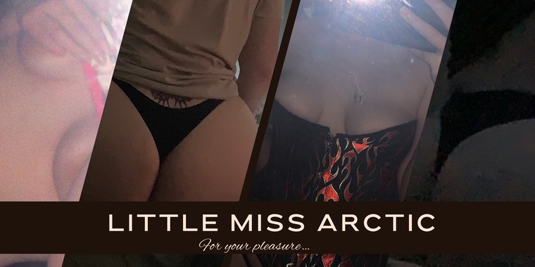 miss arctic cover image
