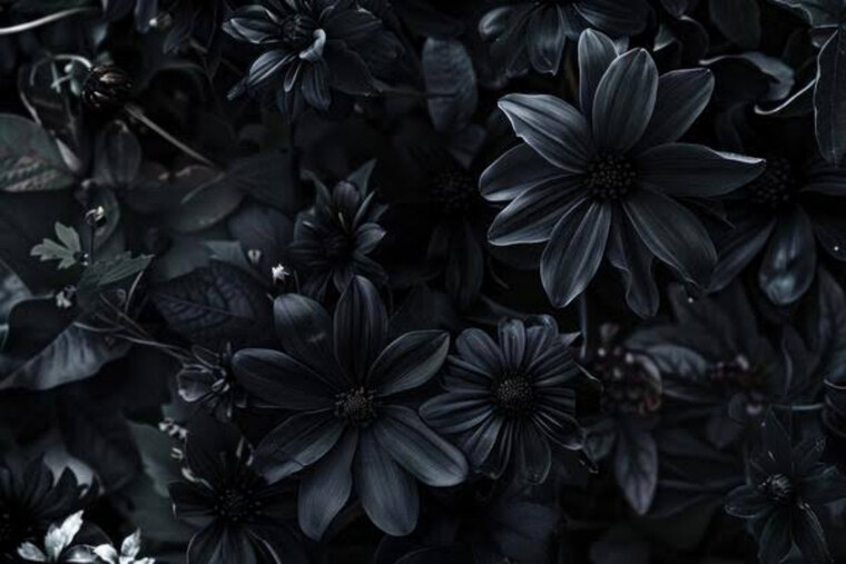 Littlemissmuffin banner image