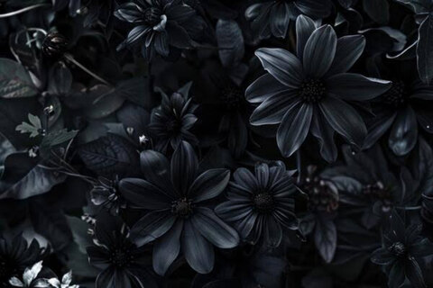 Littlemissmuffin cover image