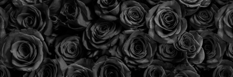 LittleMistress banner image