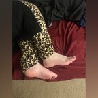 Little Piggies avatar