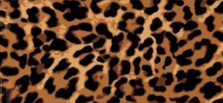 Littlepixiesfeet cover image