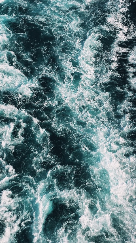 Indigo cover image