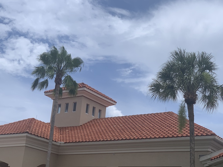 Hannah ❤️ banner image