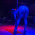 Litty_Latina avatar