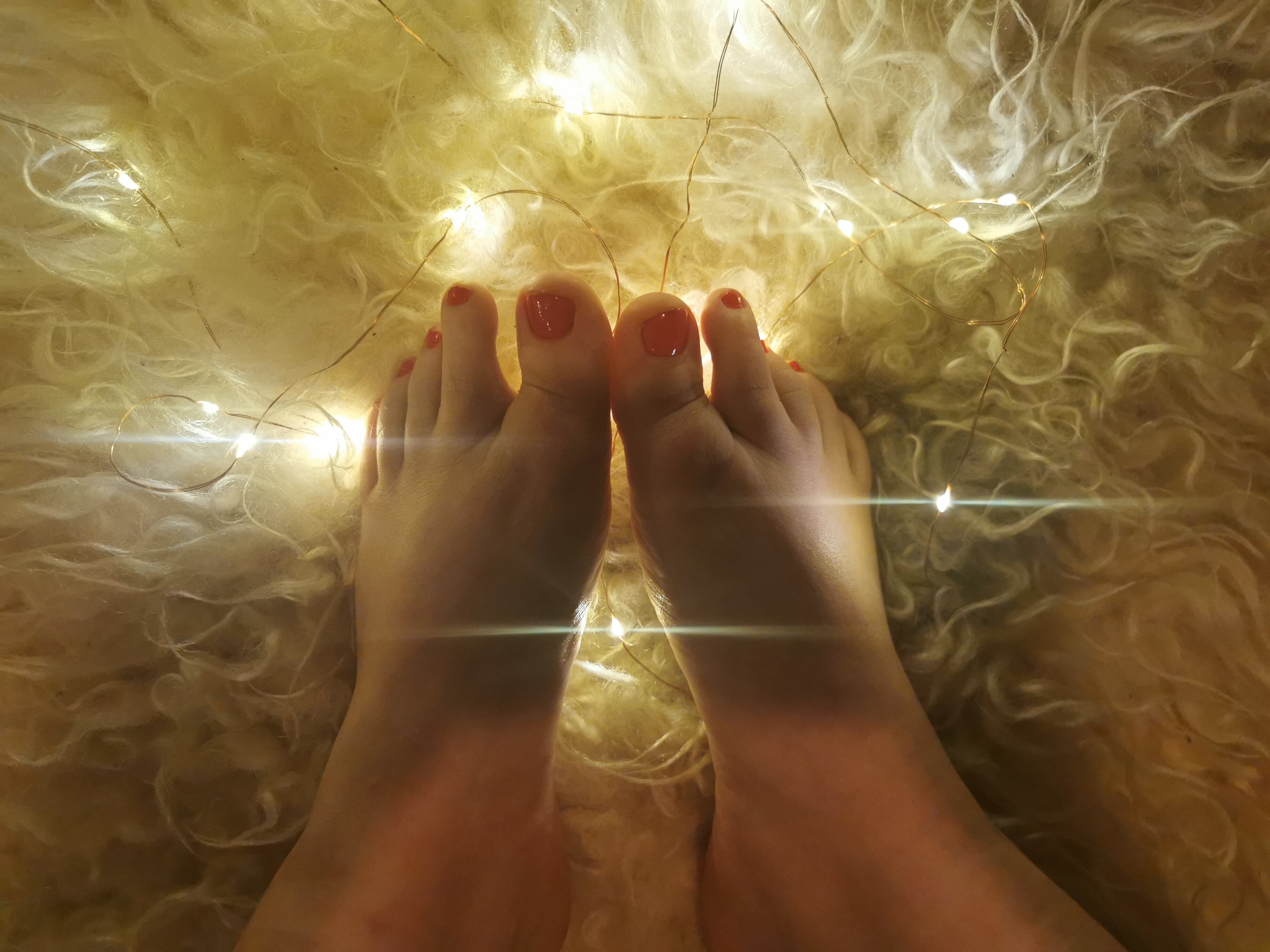 Liva's feet banner image
