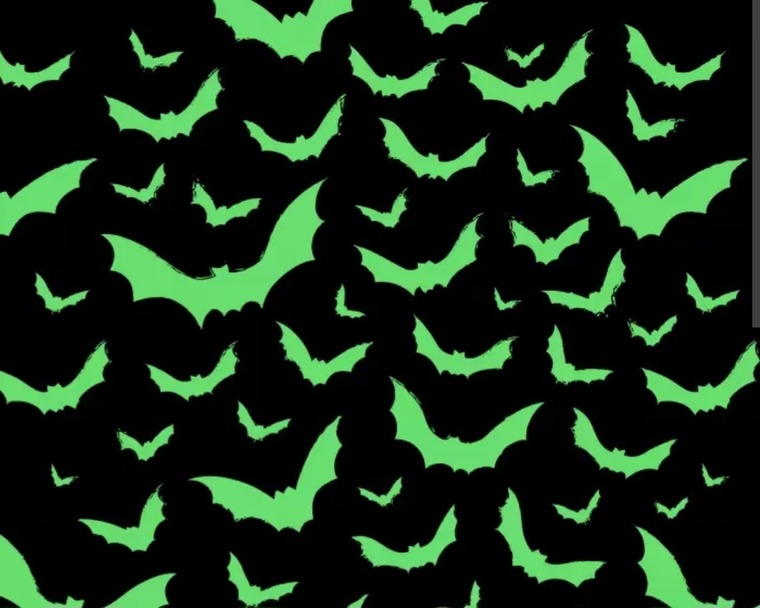 πΈ β‘ ππ¦π³π¦π«π€ ππ’ππ‘ π
ππ―ππ¦π’ β‘ π banner image
