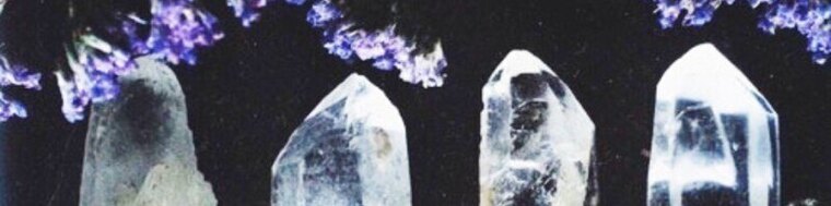 Liv 🤍 cover image