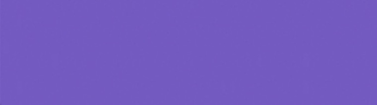 Lizament Agency banner image