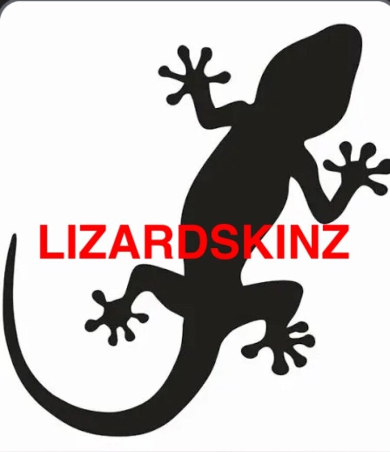 LIZARDSKINZ cover image