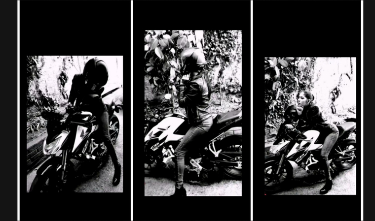 Lizlachamabiker cover image
