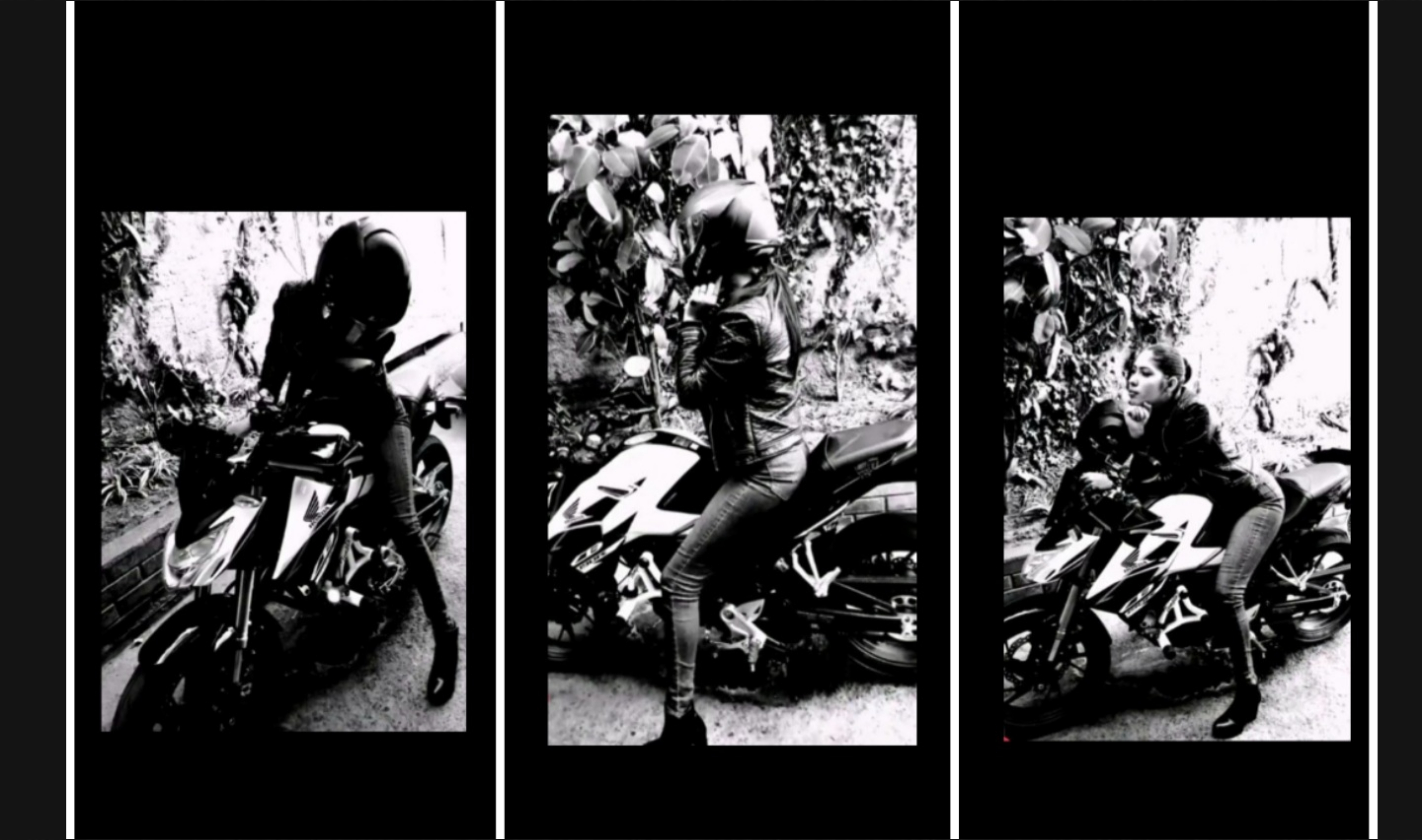 Lizlachamabiker banner image