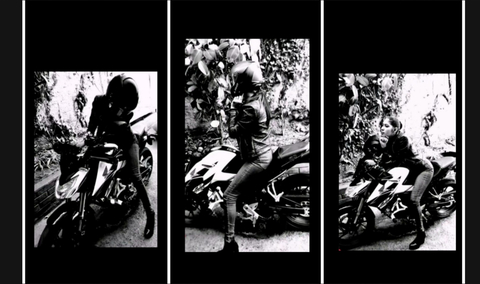 Lizlachamabiker cover image