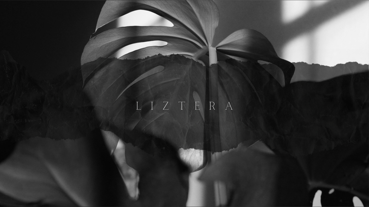 liztera cover image