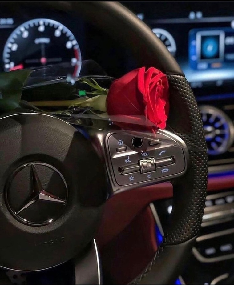 𝒍𝒊𝒛𝒛 𝒃𝒂𝒓𝒃𝒊𝒆𝒓𝒊 cover image