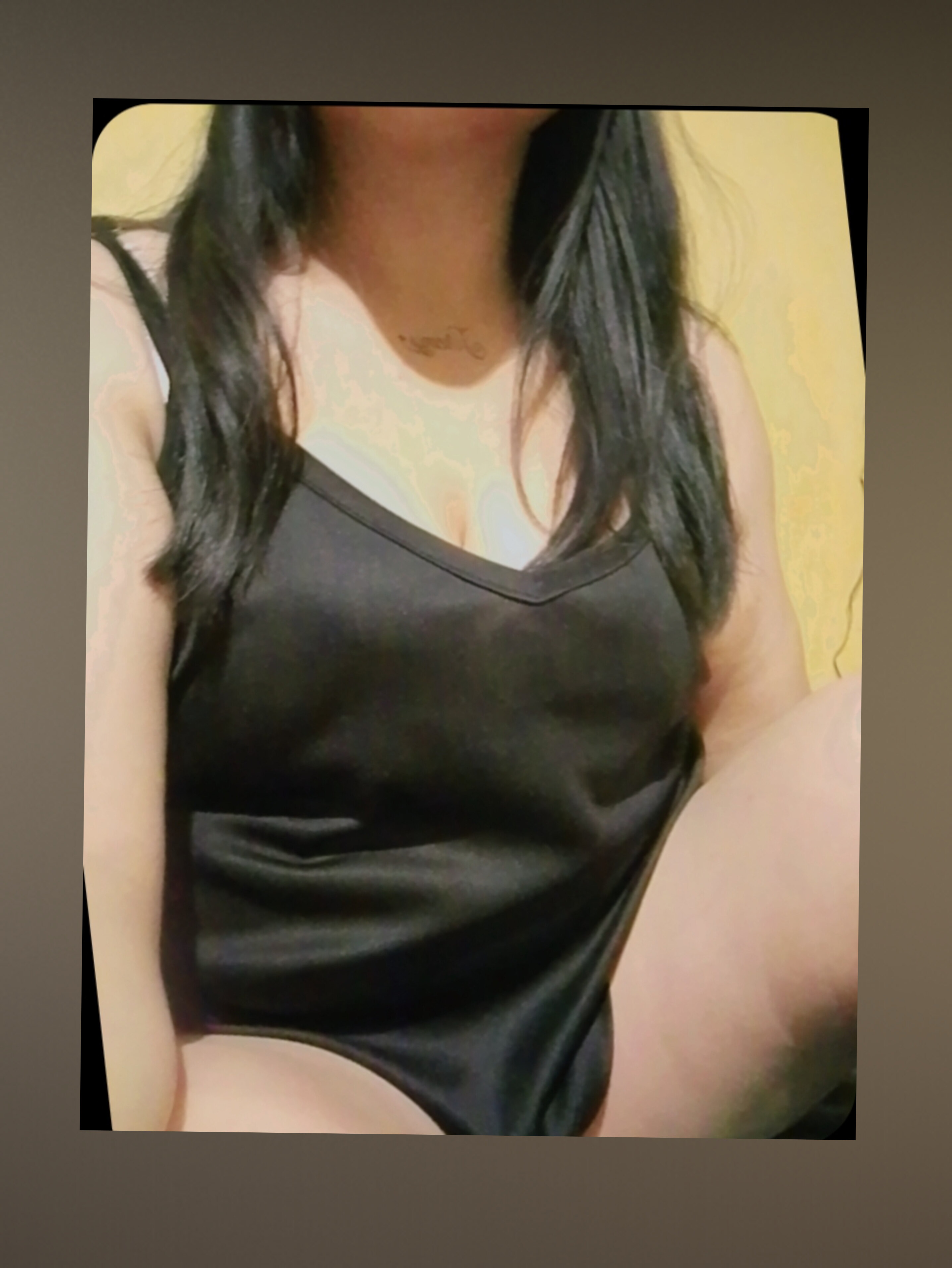 Lizz 593 banner image