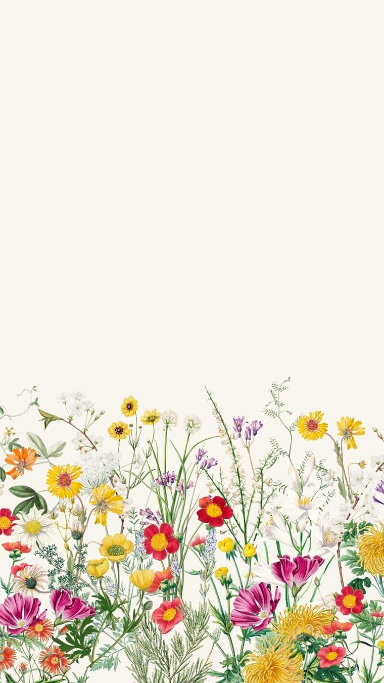 Lizzie Rae cover image