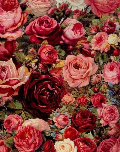 Lizzieinlove cover image