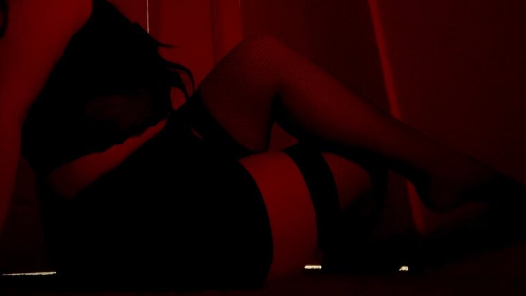LizzyBitters cover image