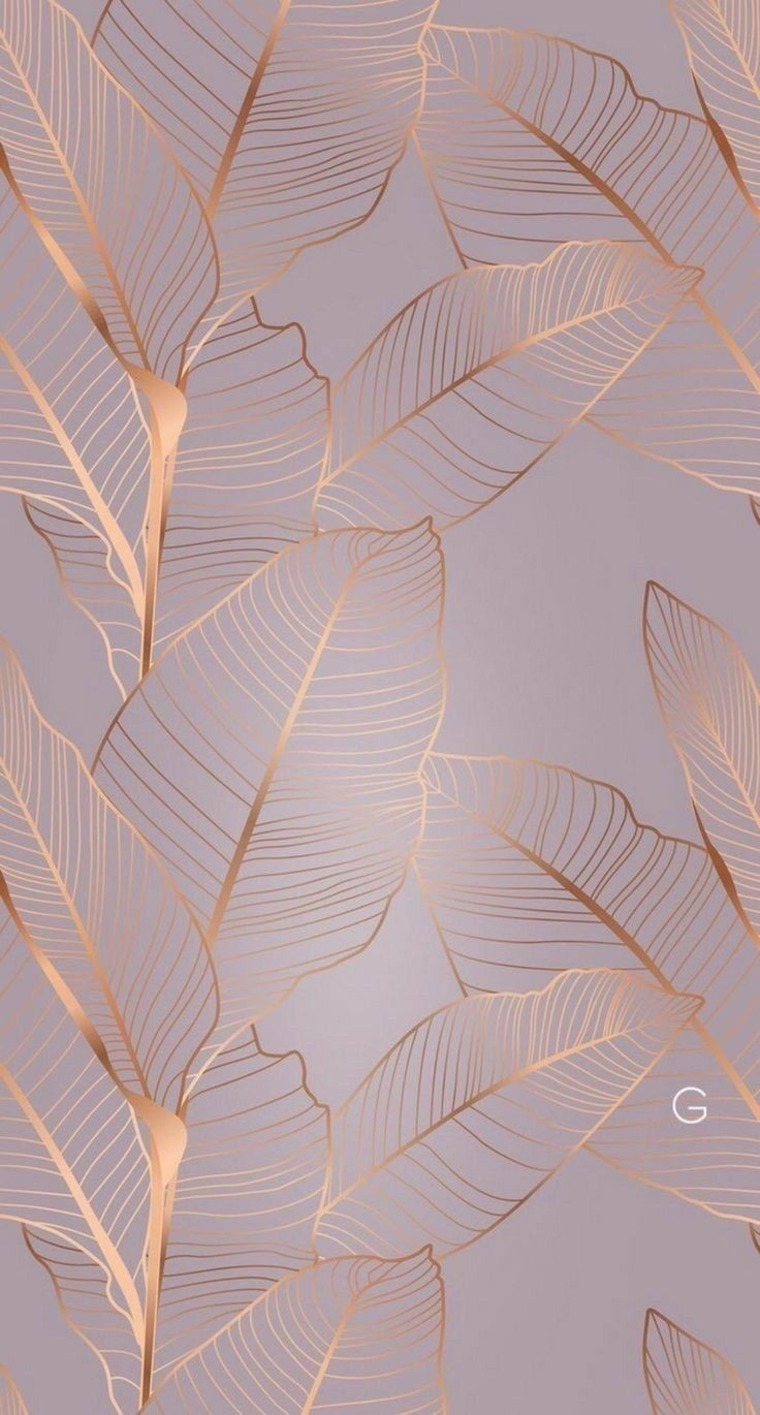 Lizzy Love cover image