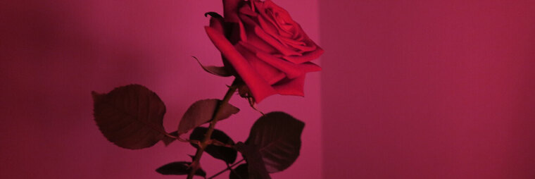 Lizzy Duznkwit banner image