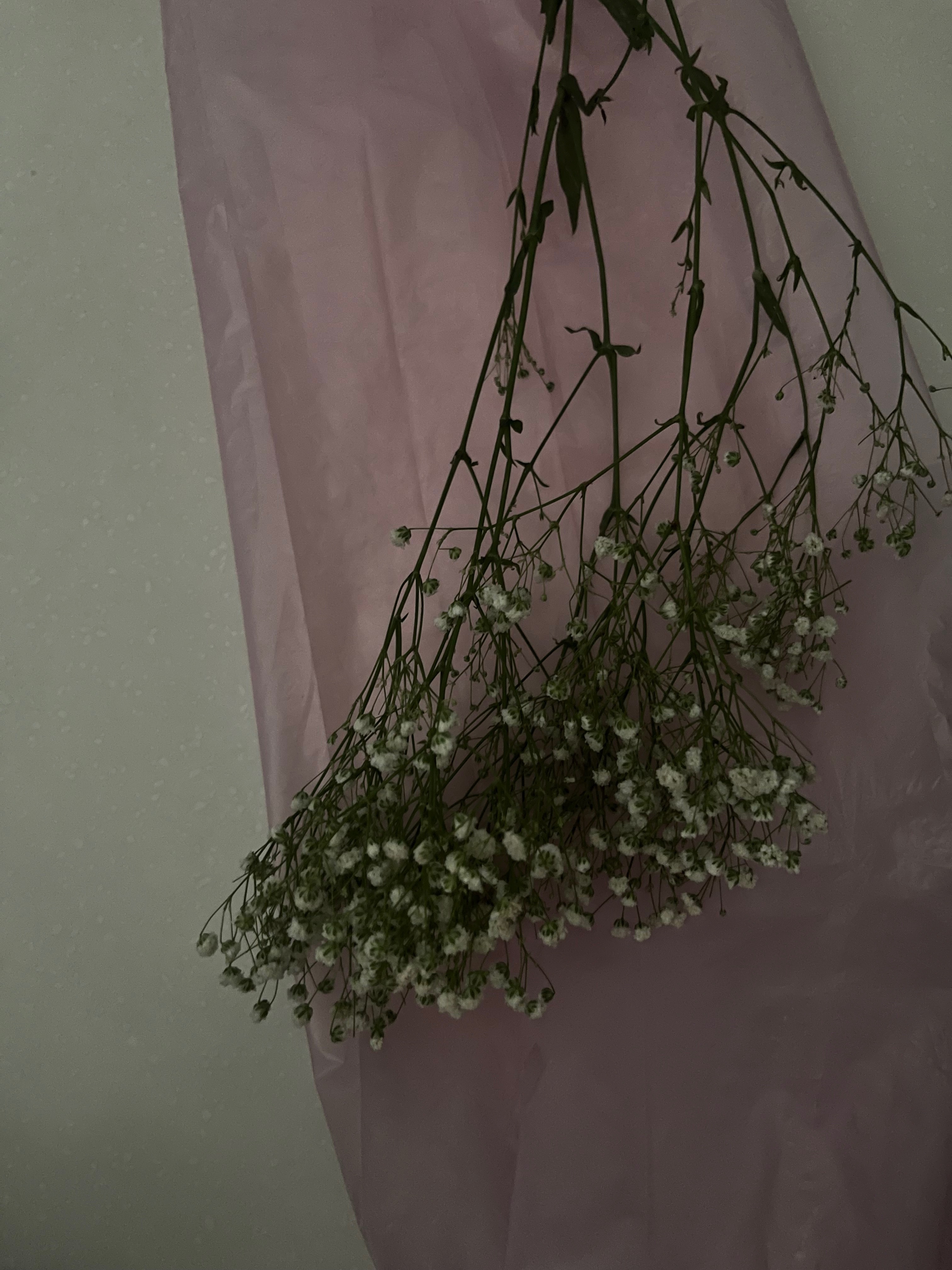 LadyLizbeth banner image