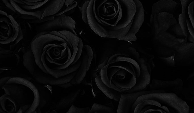 Laura đź–¤ banner image