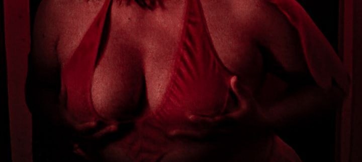 Lloreley Star banner image