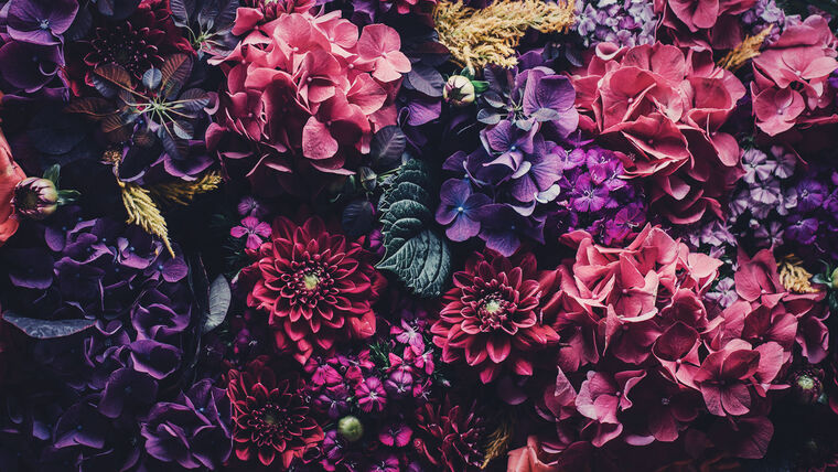 llovveiir cover image