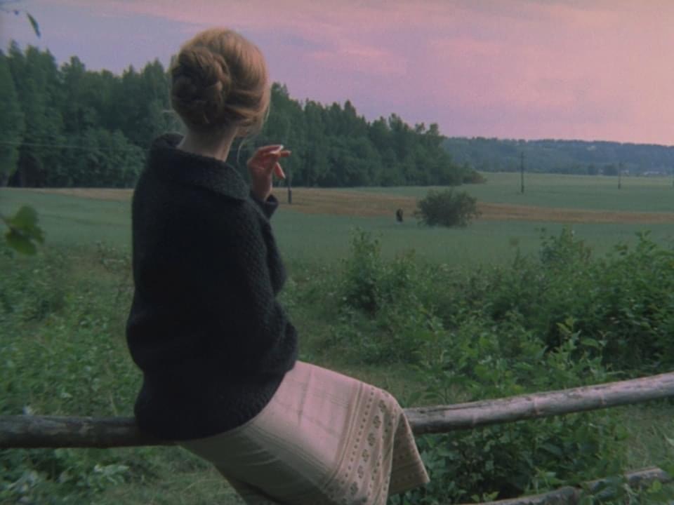 Lucille banner image