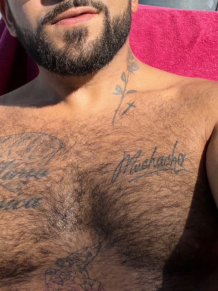 barebear banner image
